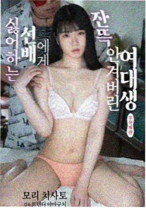 糖心视频网站短剧合集归档索引卡片